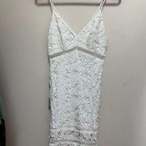 ASTR Lace Mini Dress